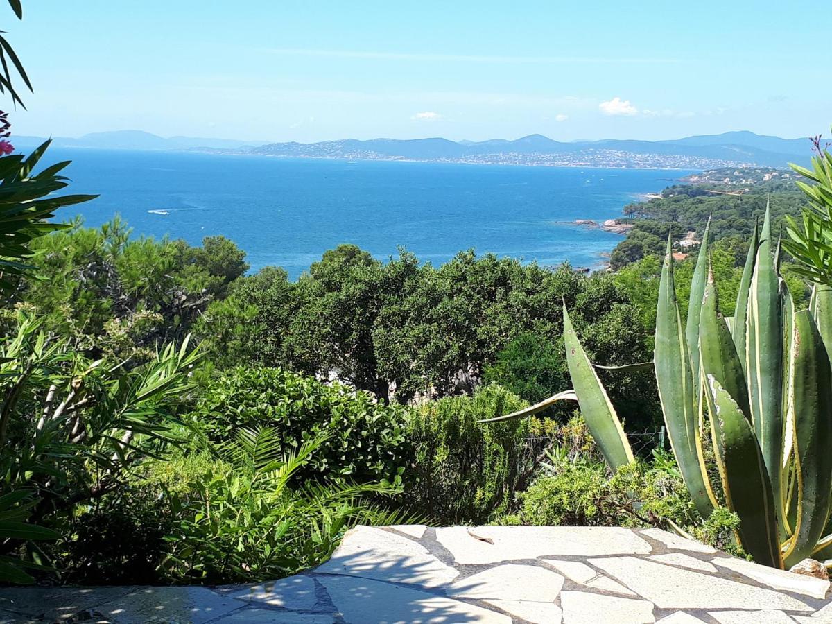 Duplex, Vue Panoramique Sur La Mediterranee, Piscine, Garage Saint-Raphael  Bagian luar foto